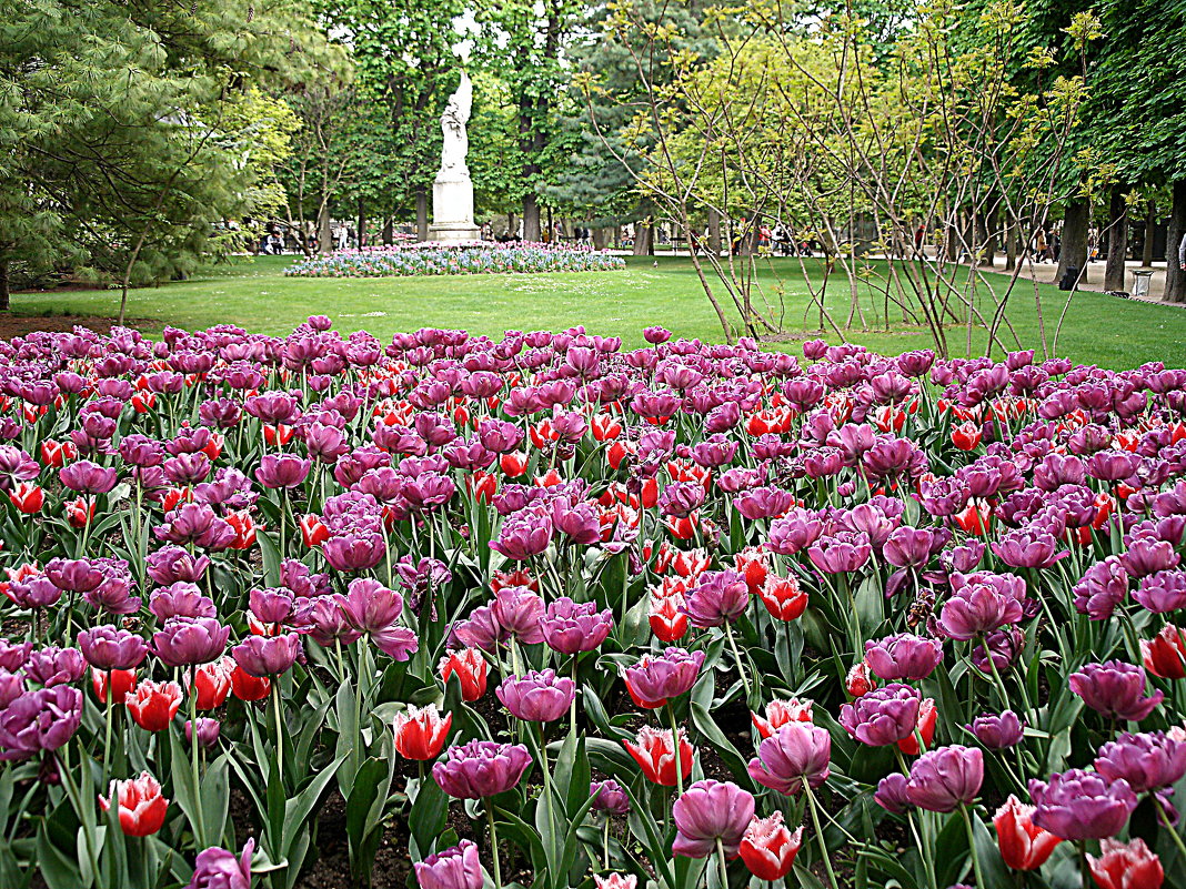 весна в Люксембургском парке,Париж - svetlanavoskresenskaia 