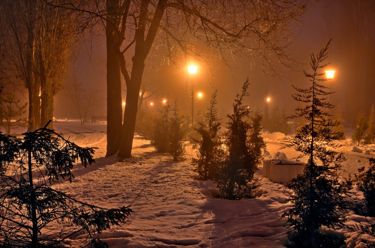 Ночь в парке - Константин Бобинский