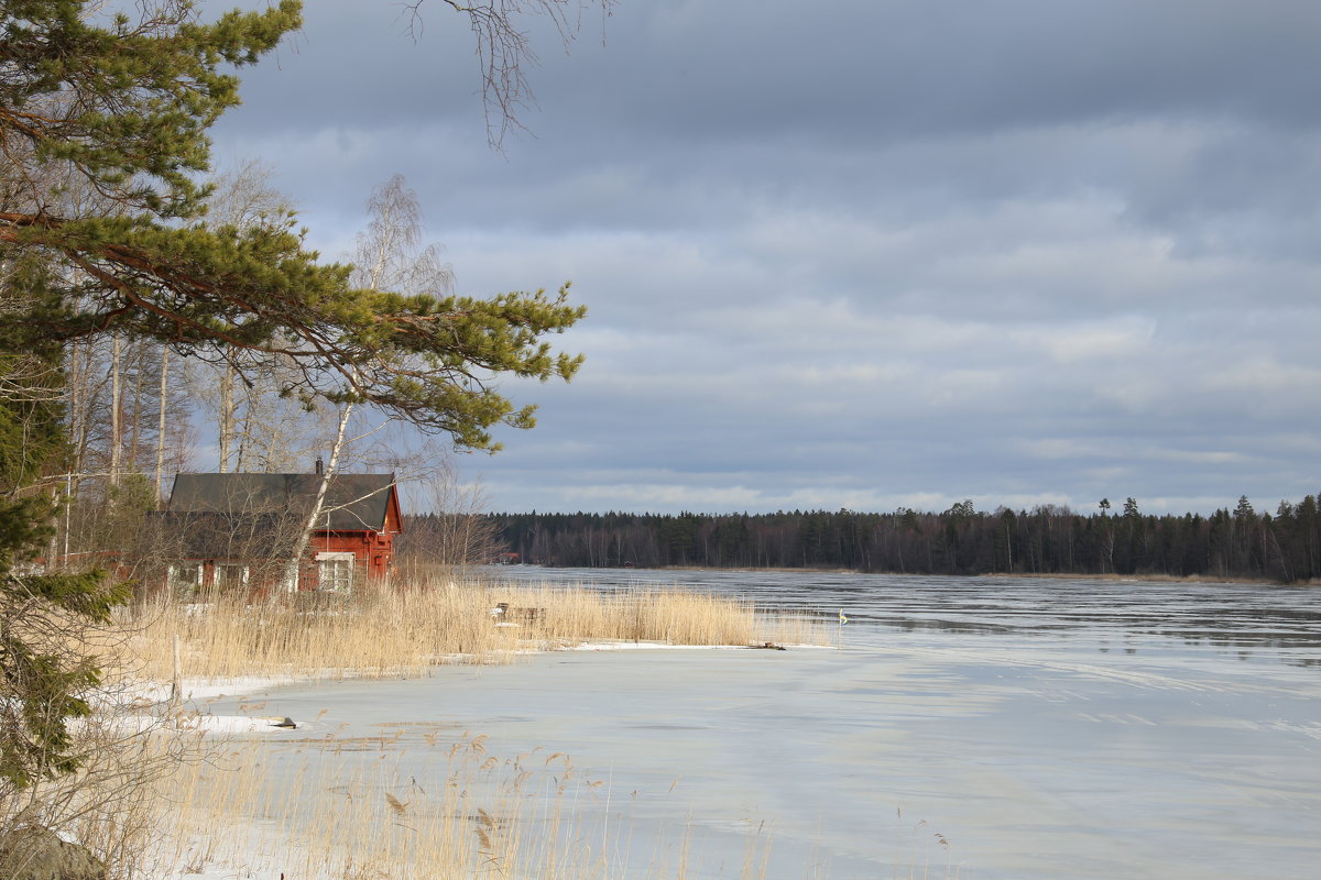 озеро Strömaren в конце февраля, Швеция - Василий С