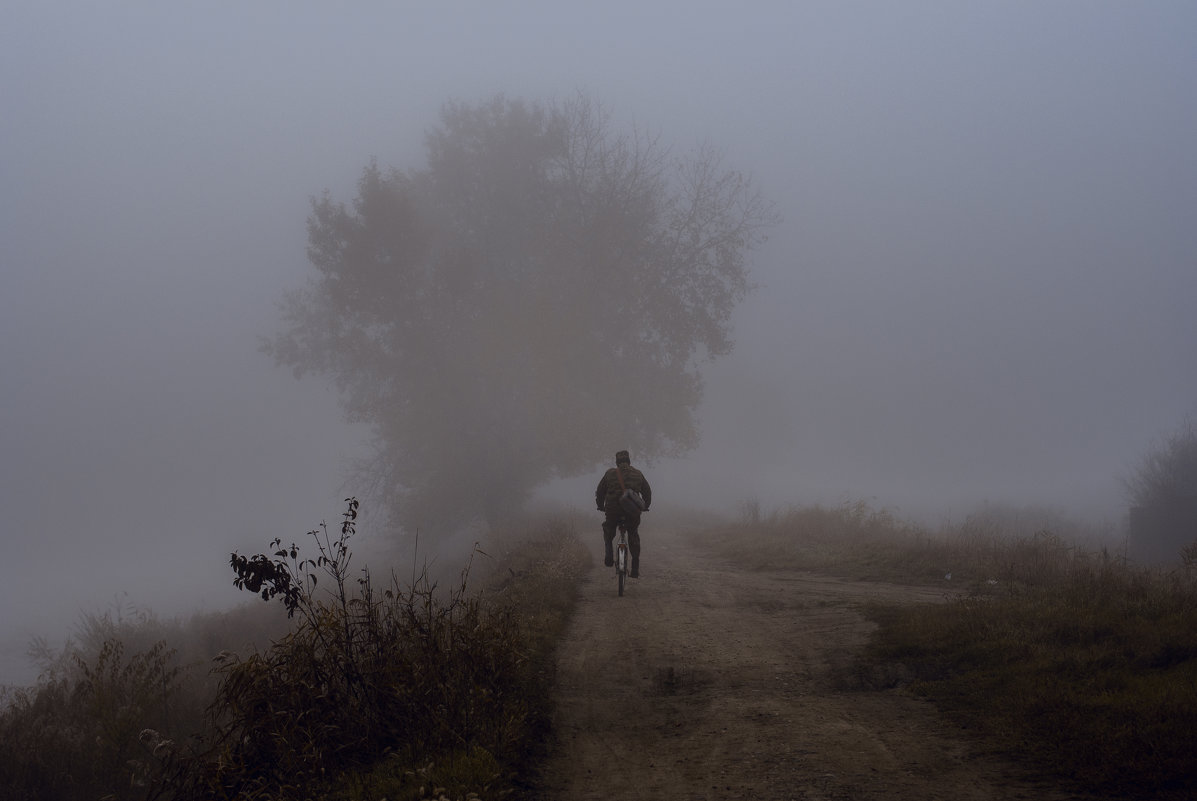 Велосипедист в тумане - Мария Ипполитова 