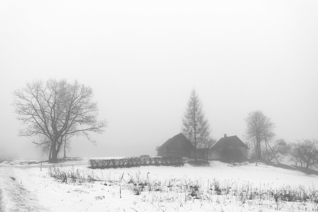 Туманные дни в конце февраля (4) - Юрий Бондер