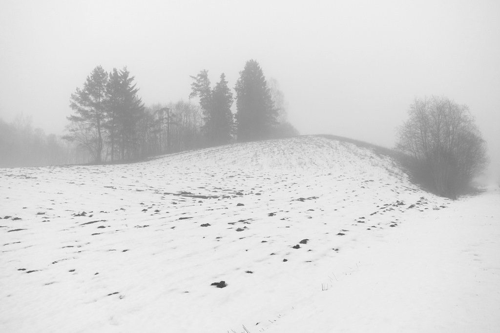 Туманные дни в конце февраля (1) - Юрий Бондер