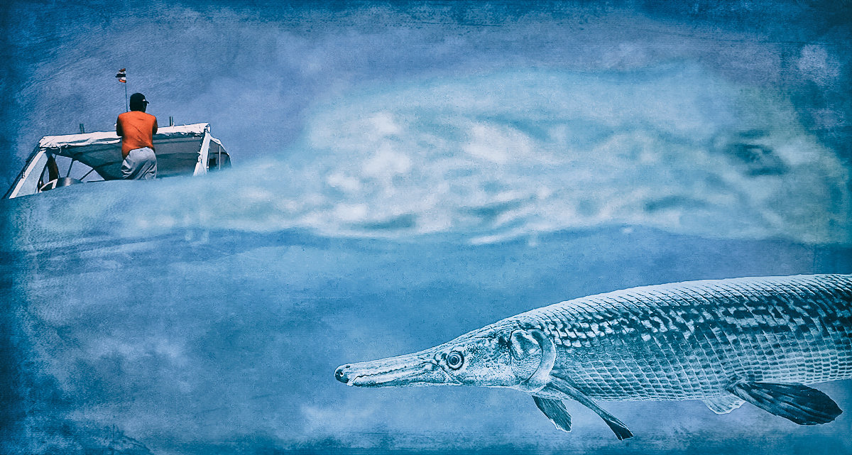 рыба есть - Алексей Карташев