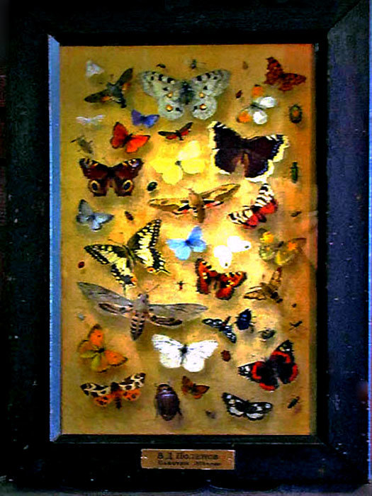 Бабочки - Nikolay Monahov