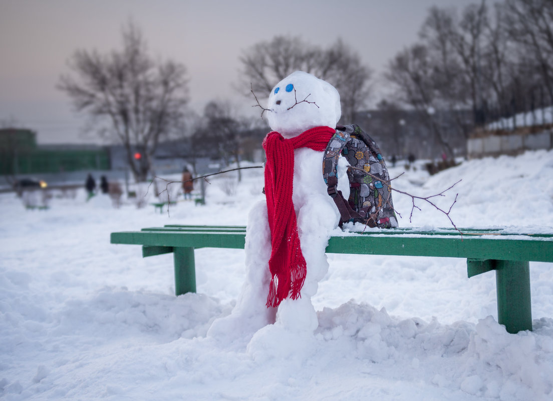 Снежный путешественник - Павел Заславский