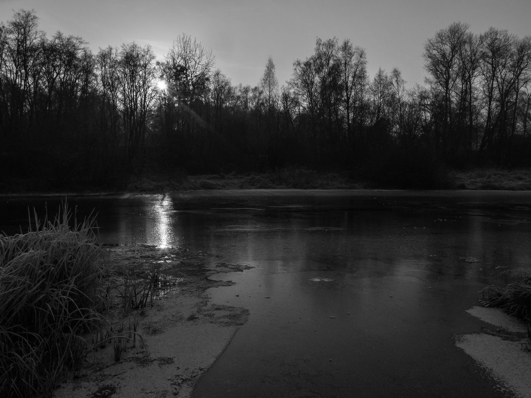 У воды. - Алексей Сараев