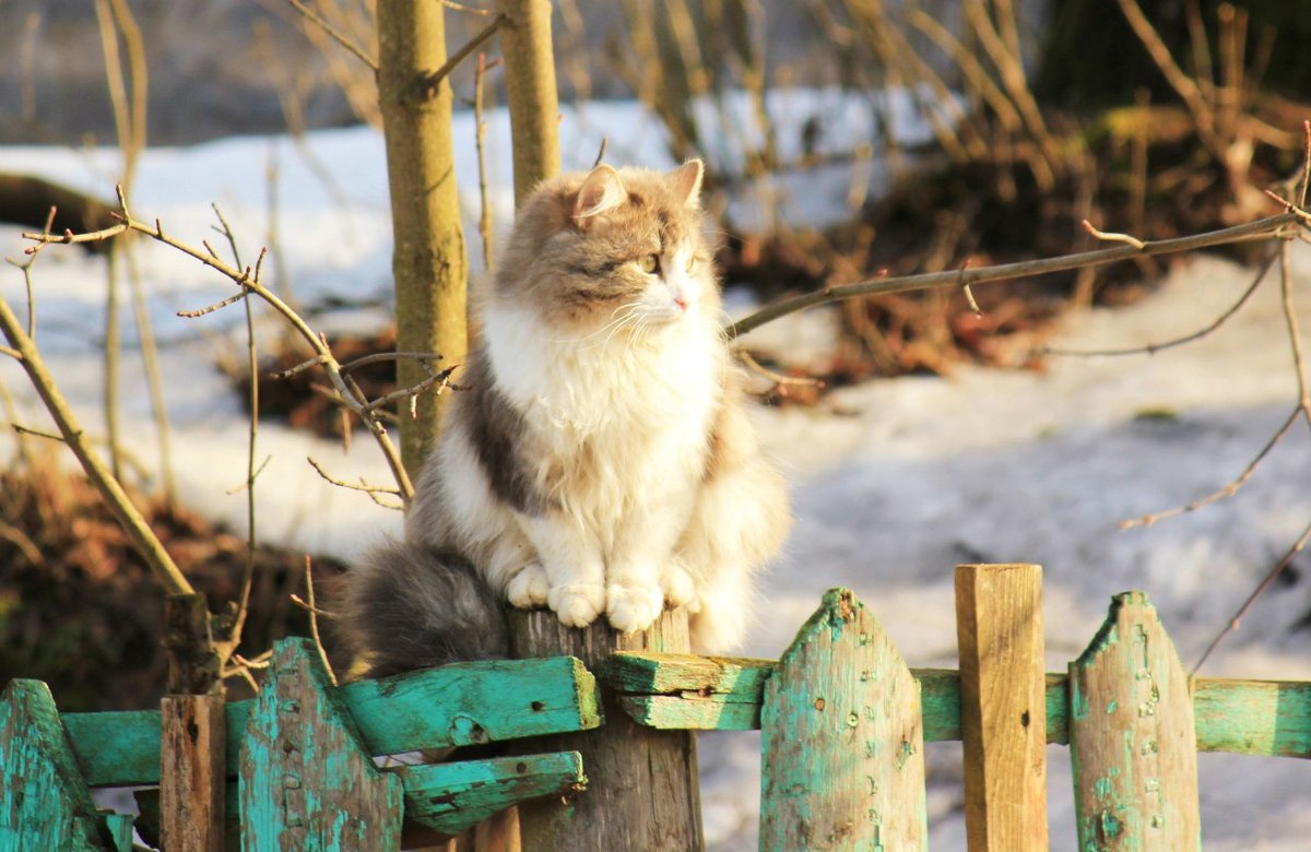 ** - Сергей Кочнев