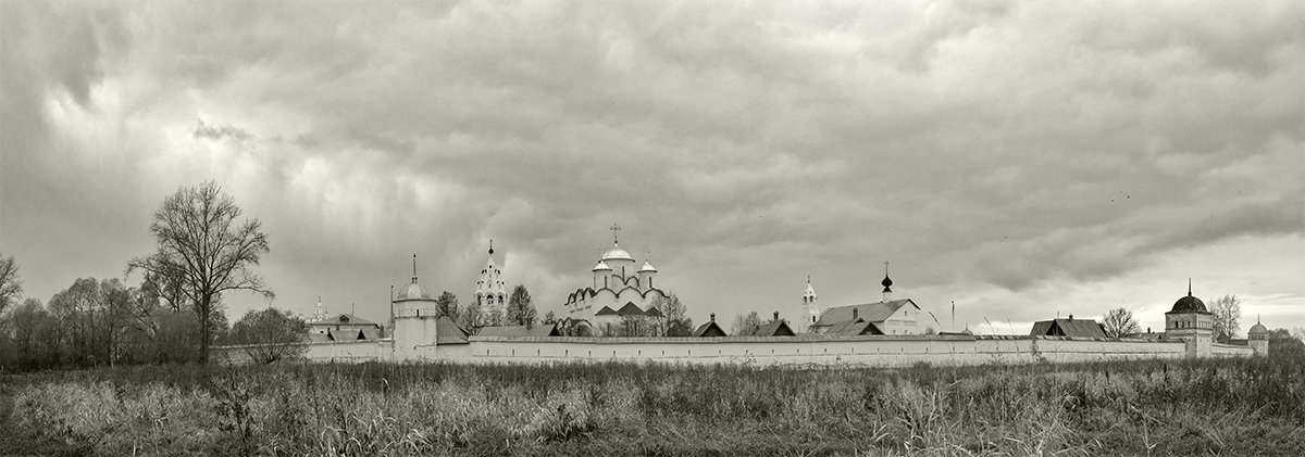 Покровский монастырь - Galina 