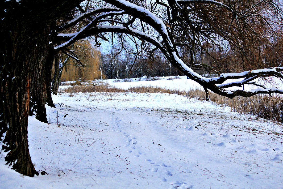 Последний день зимы - Orest Zherebetskiy