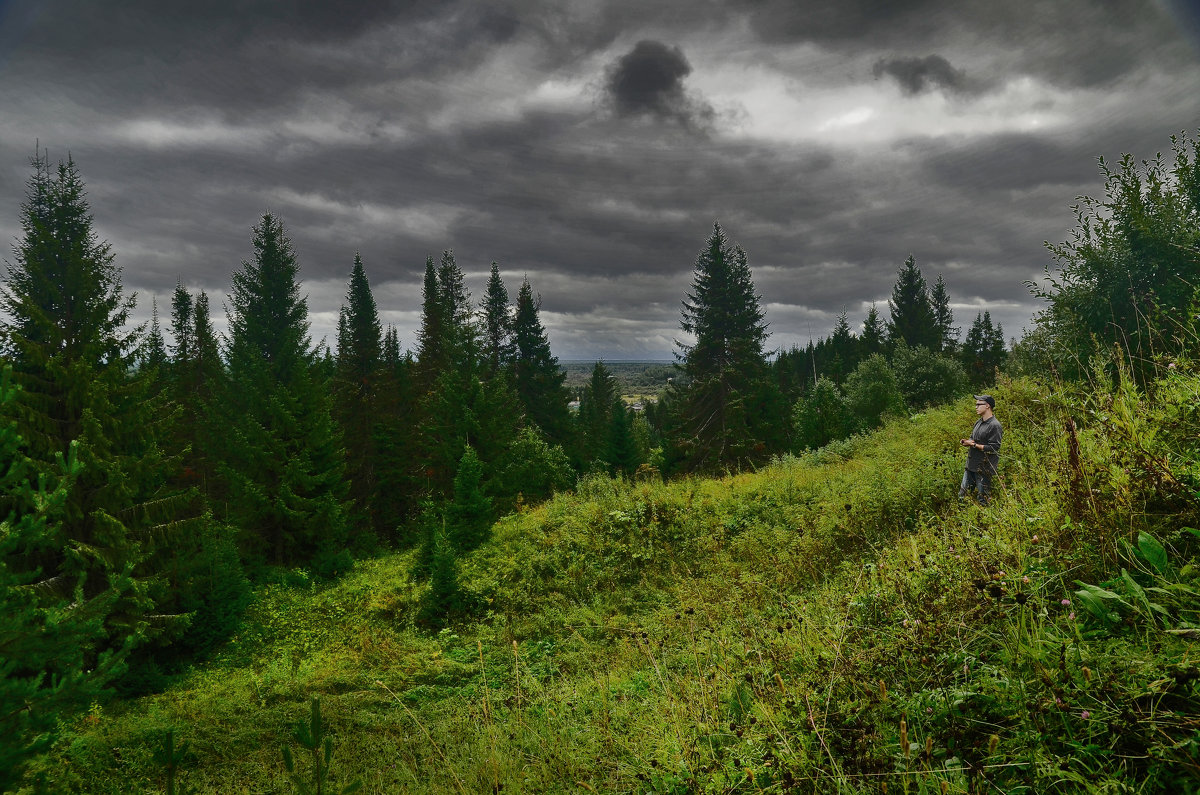 Тучи над лесом - Viktor Pjankov