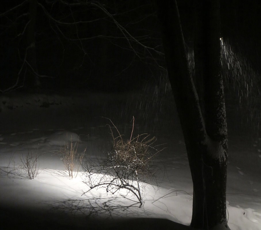 Снежный вечер первого марта - anna borisova 