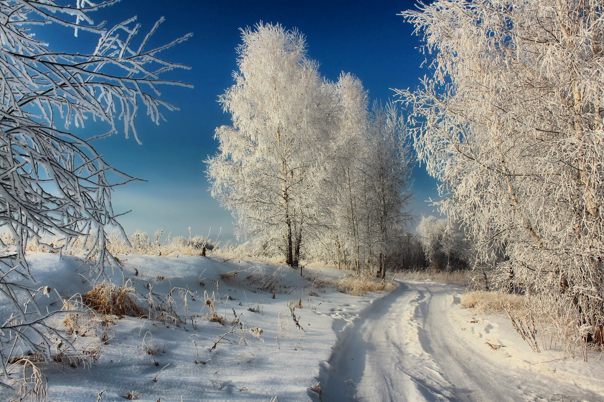 Краски уходящей зимы... - Maxim Agafonoff