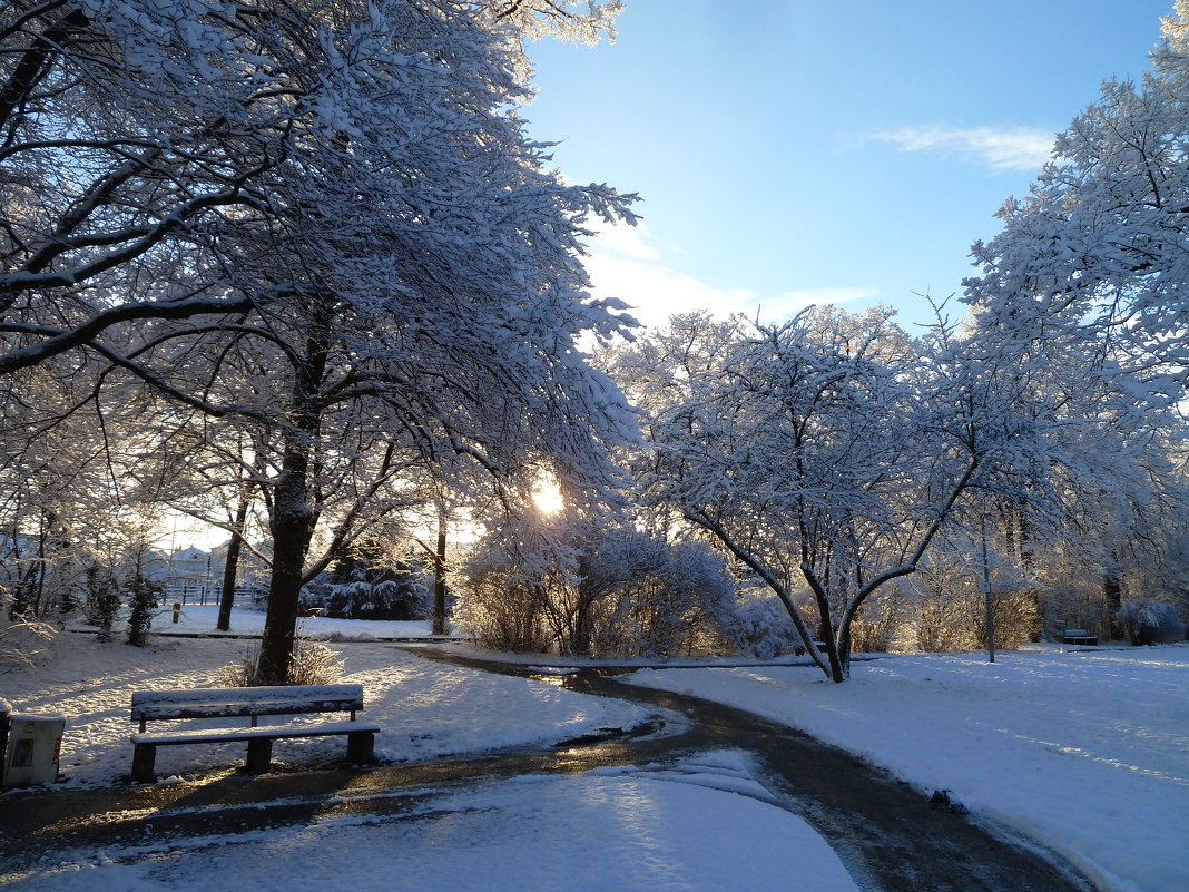 Зимнее утро в парке - Tatjana Savelev