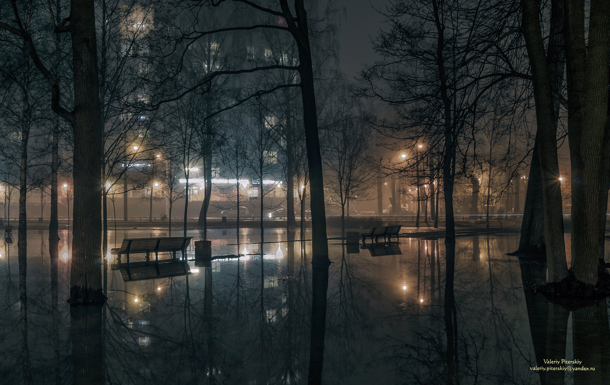 Туманная оттепель - Valeriy Piterskiy