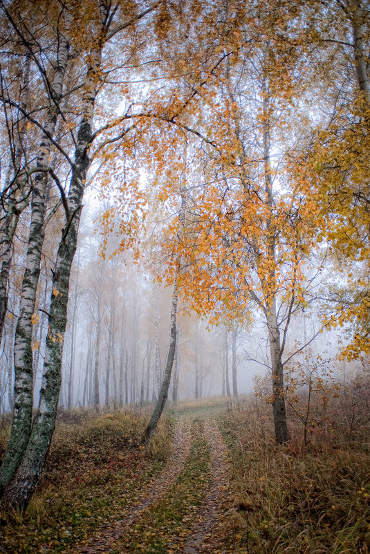 Осенний мотив - Игорь Кожухов