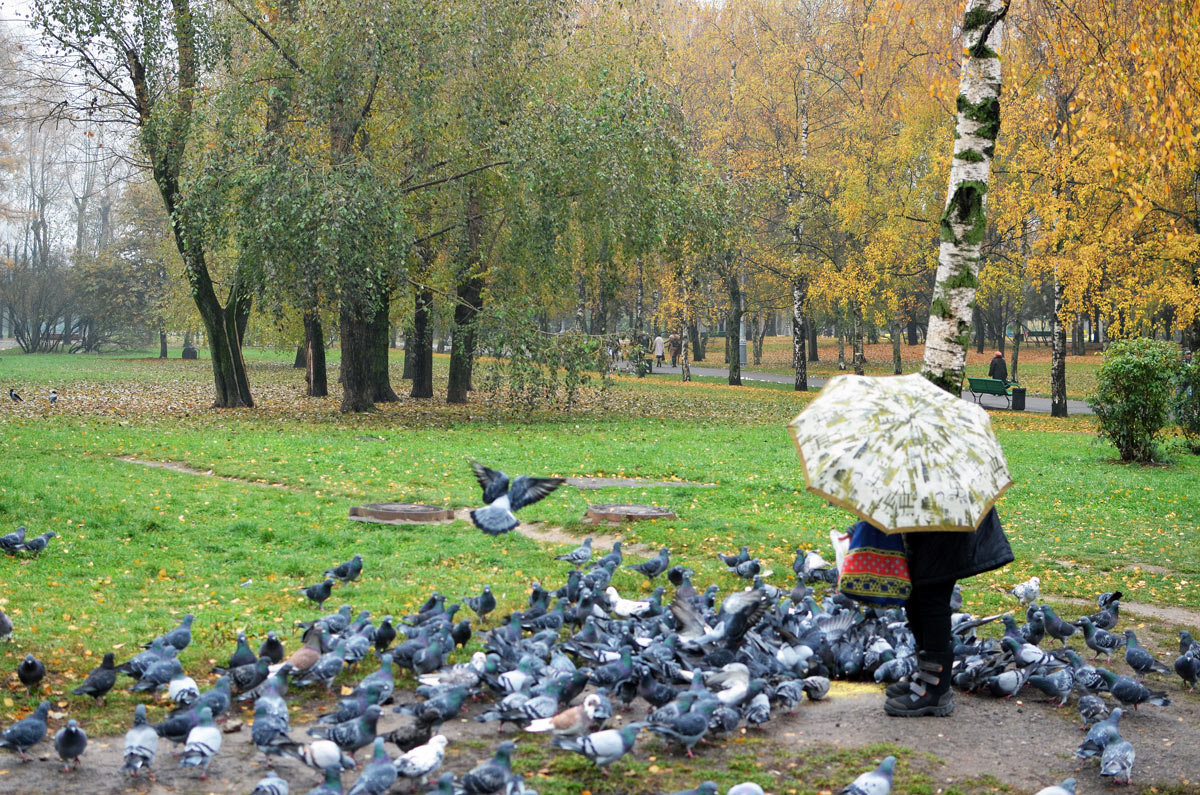 *** - Анатолий Цыганок