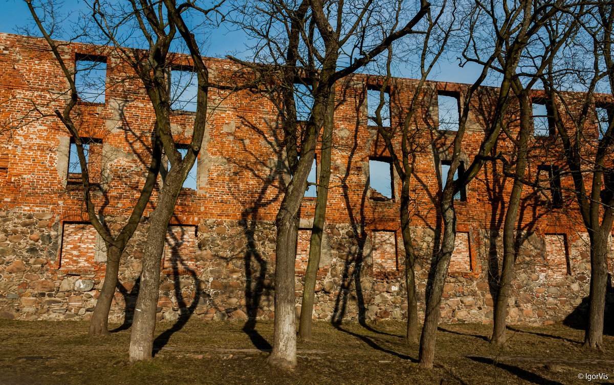 Стена замка - Игорь Вишняков