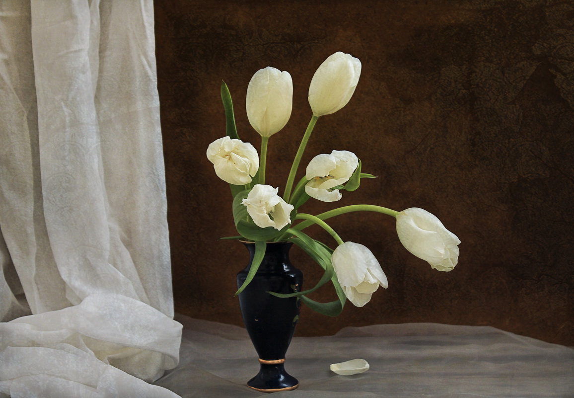 белые цветы - Марина Торопова