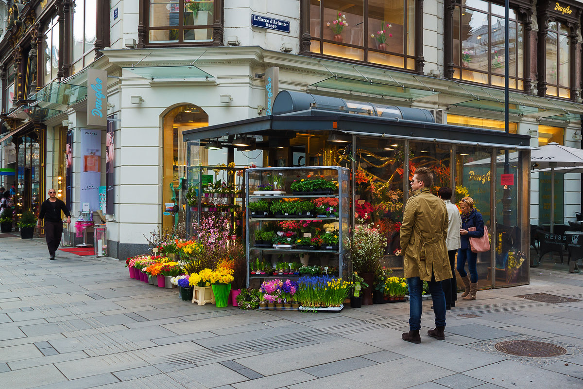 Цветочный магазин в Вене - Александр Лядов