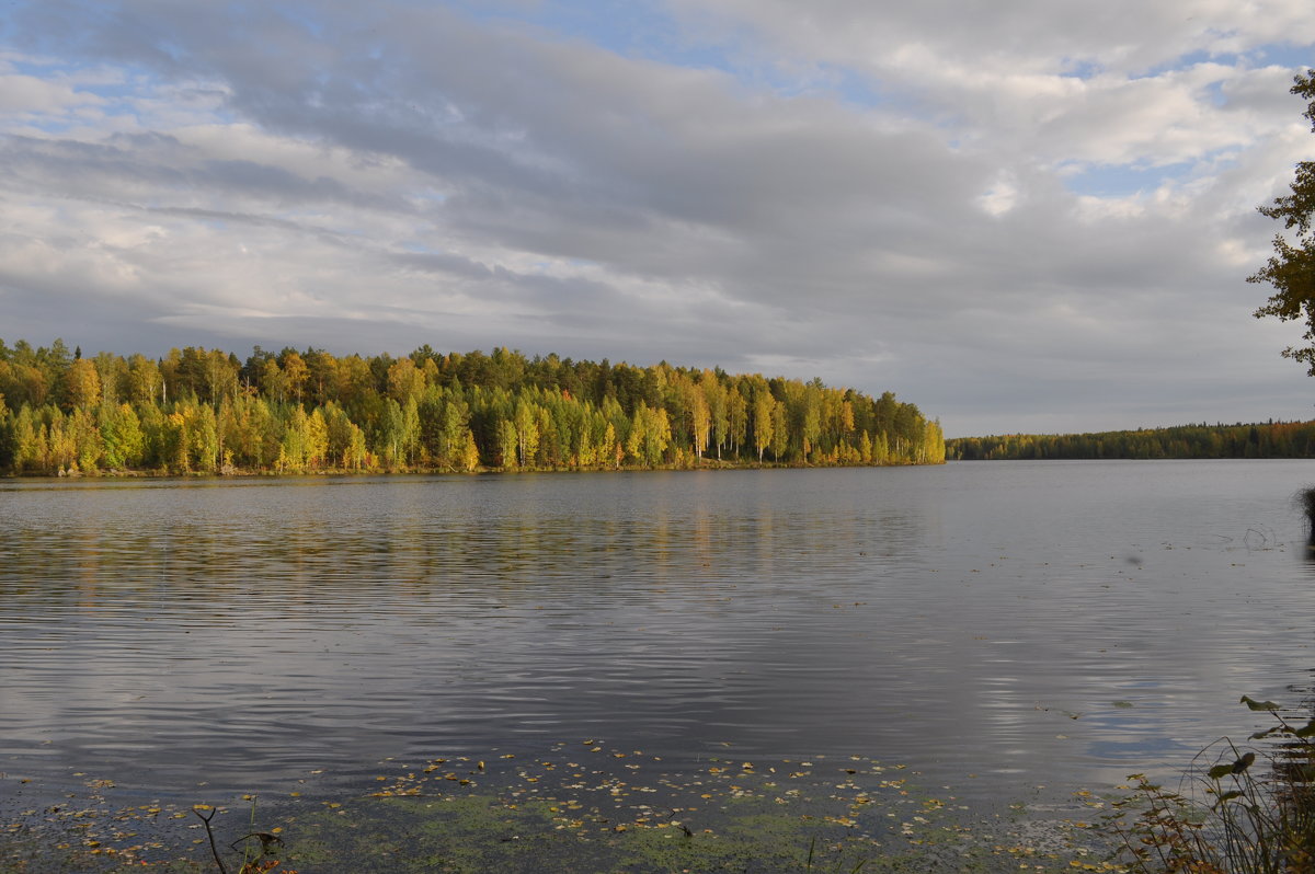 Природа Красноуральска - Виктор Башкирцев