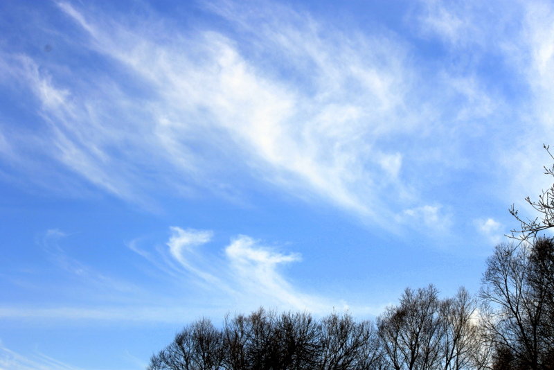 Весеннее небо - оля san-alondra
