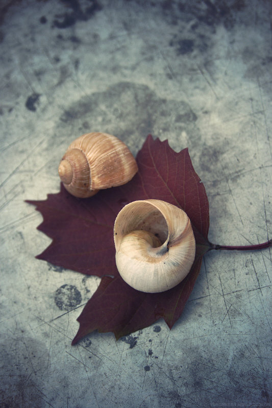 On the shore of autumn - Paul B. 