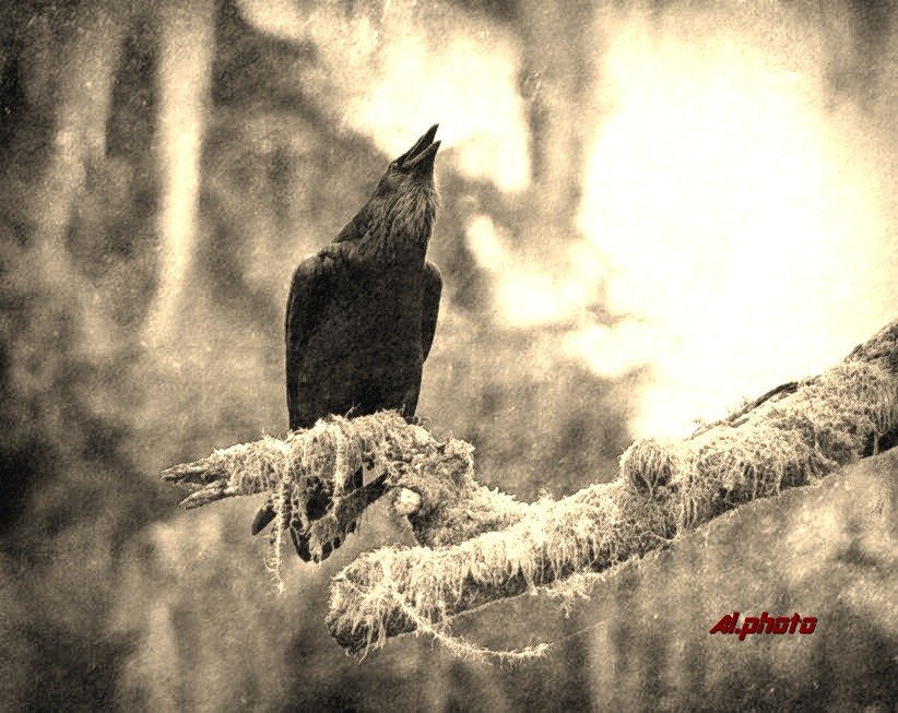 Там на неведомых дорожках..... - Александр Фоткин