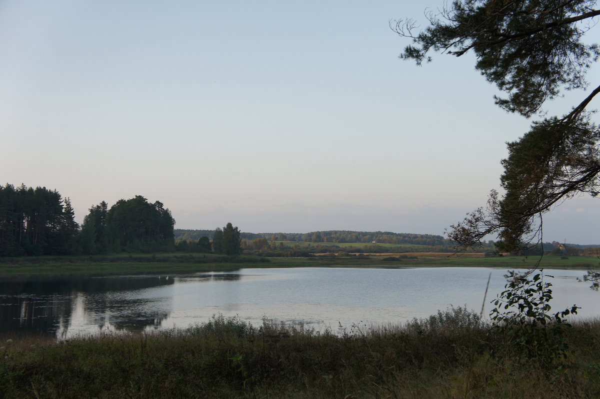 Озеро Маленец, на берегу которого возвышается «Холм лесистый» - Елена Павлова (Смолова)