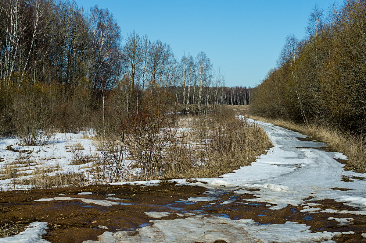 Распутица. - Яков Реймер