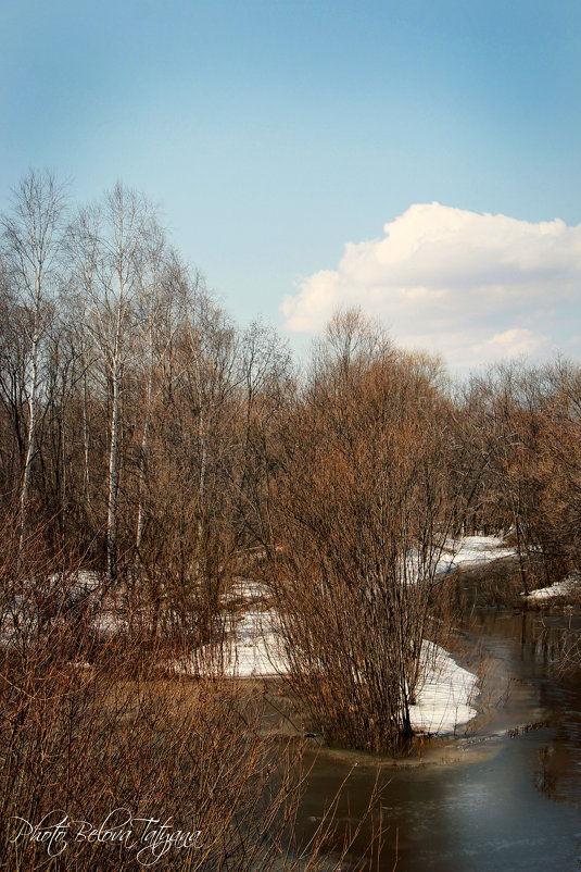 весенний пейзаж - Tatyana Belova