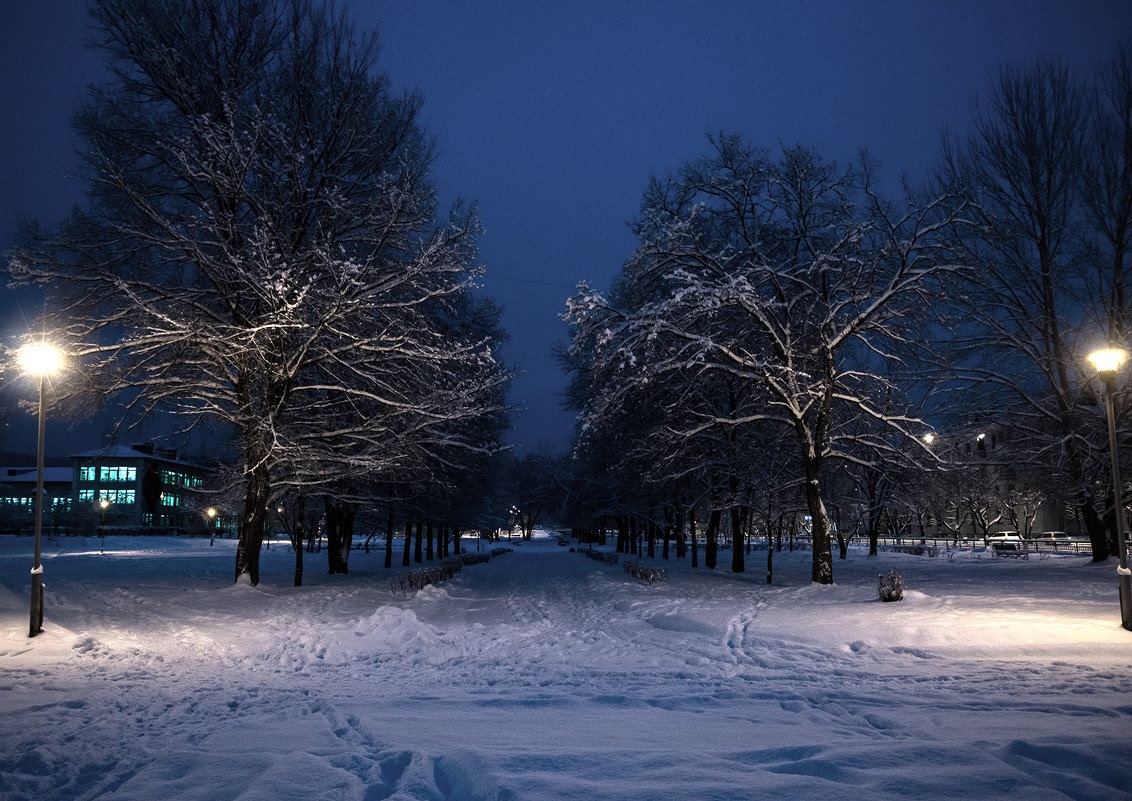 Зимняя алея, ночью. - Андрей Боталов