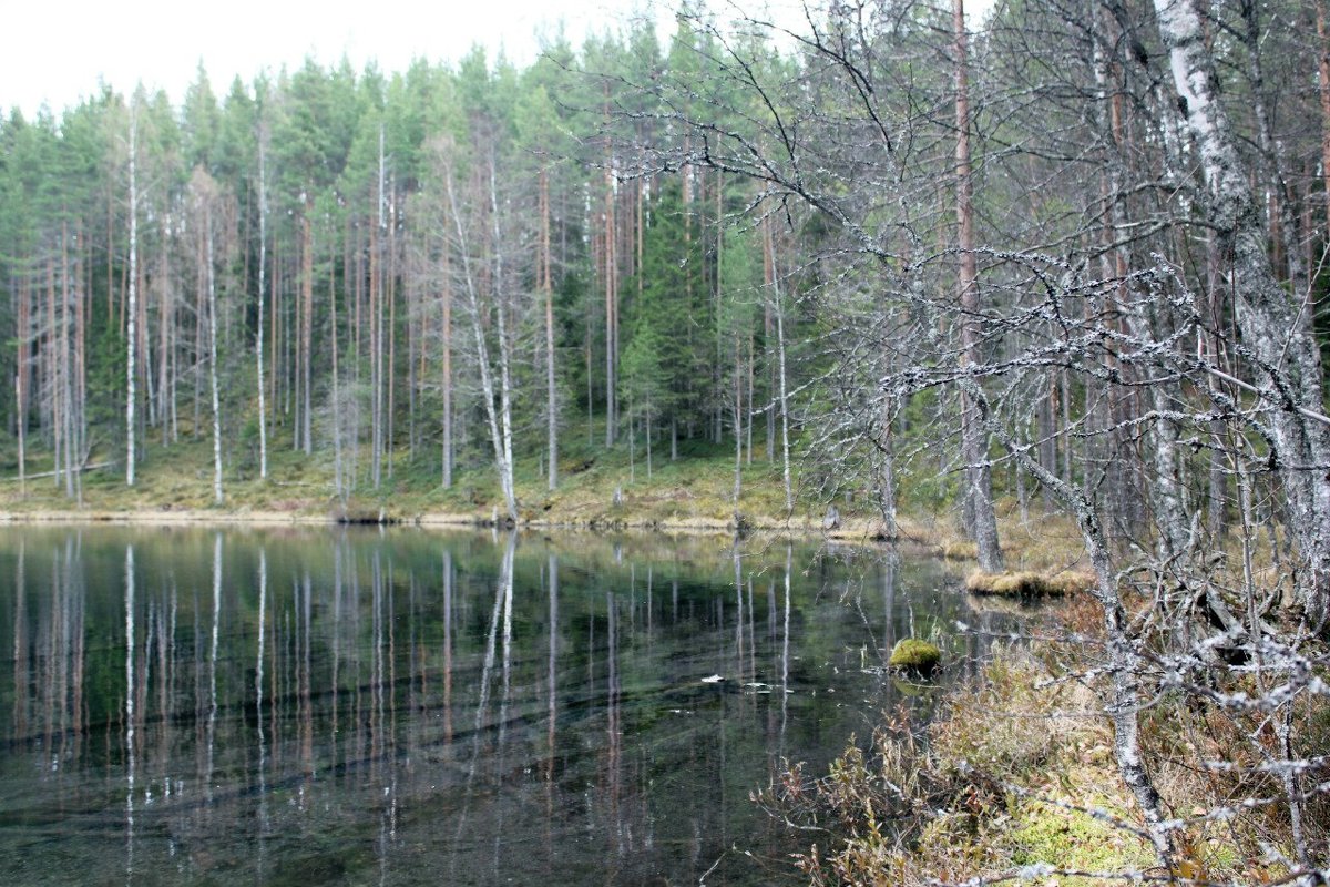 Карельское " Голубое озеро " - Кристина Cоль