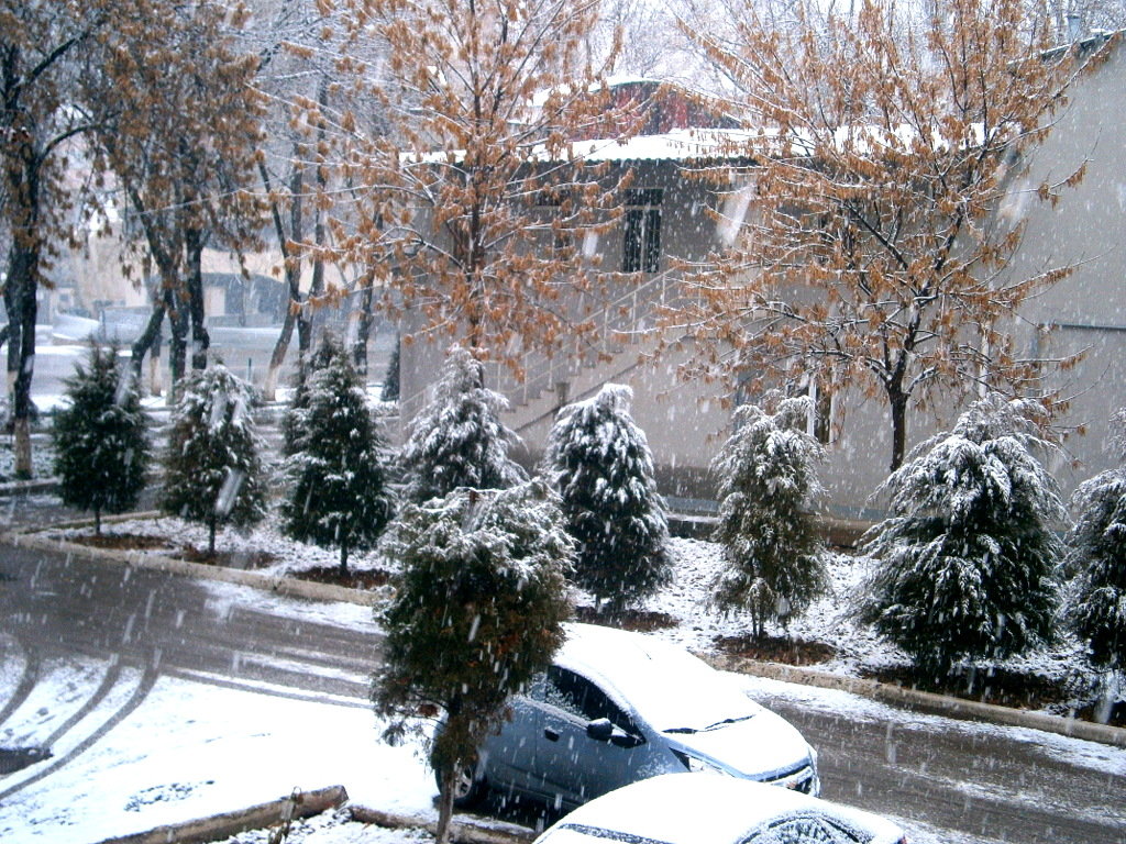 Однажды утром в Ташкент...вдруг нагрянула зима....!!! - Людмила Богданова (Скачко)