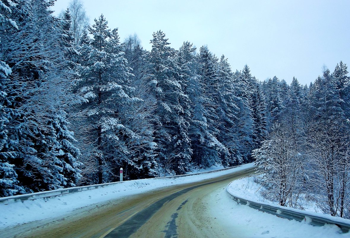 Зимняя дорога домой - Mavr -