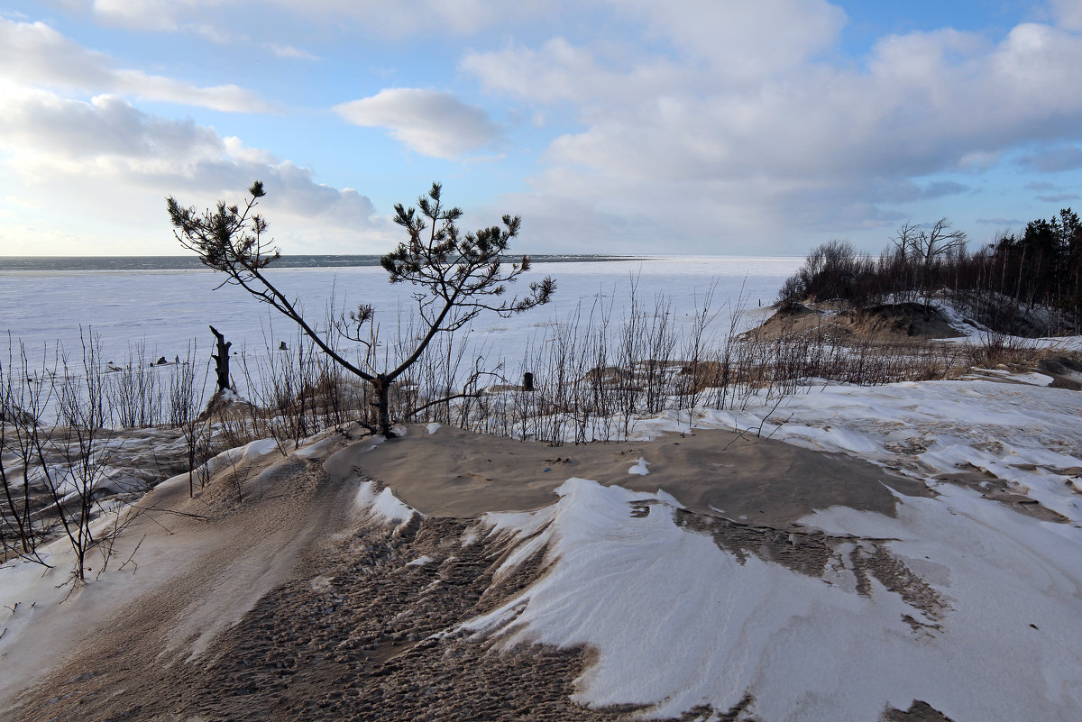 Северодвинск. Весна. Белое море. Вид с дюны - Владимир Шибинский