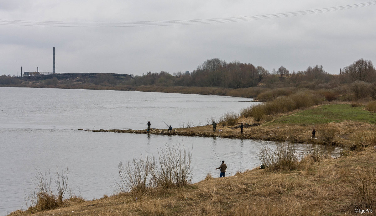 Ловля корюшки на реке Неман - Игорь Вишняков