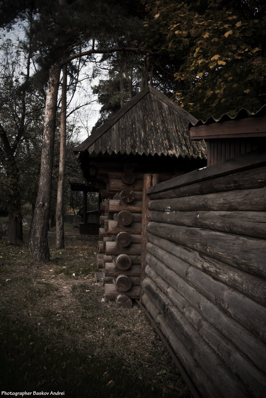 В парке - Андрей Баськов