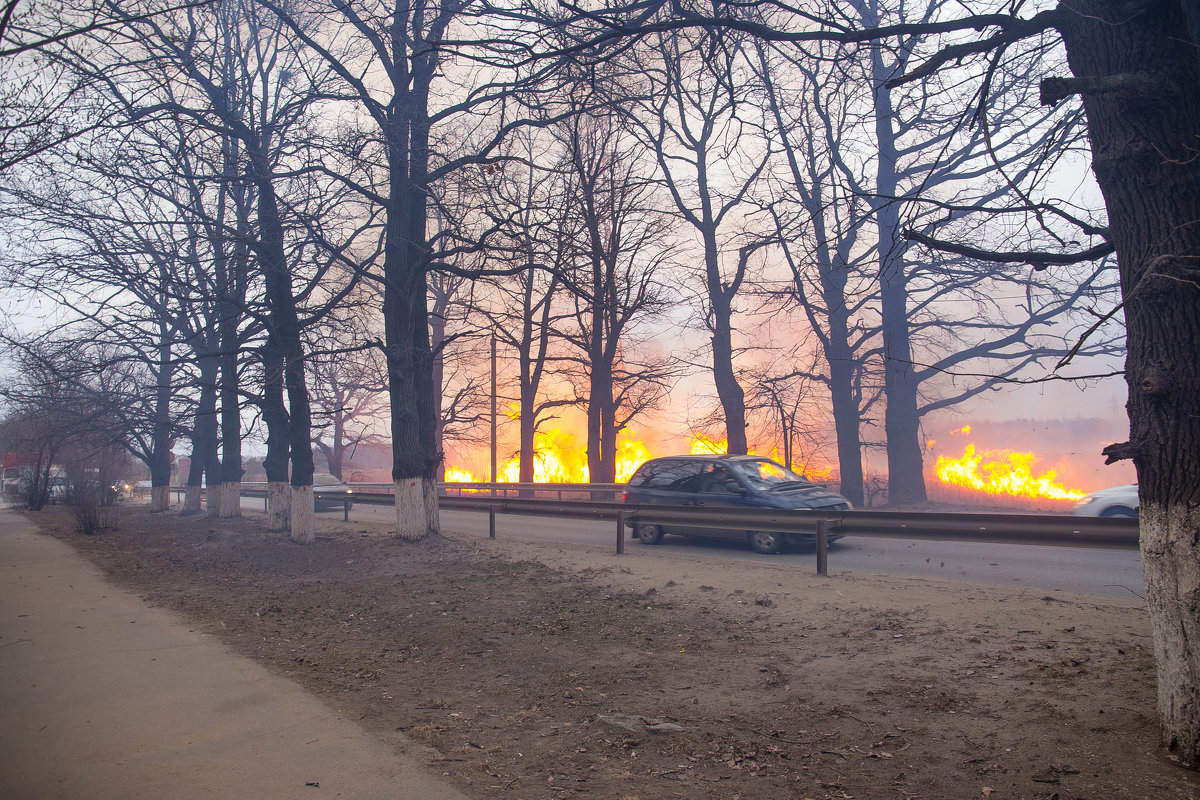 пожар на поле - Ирина Горина