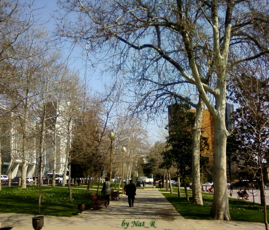 a spring day in Baku - maxim 