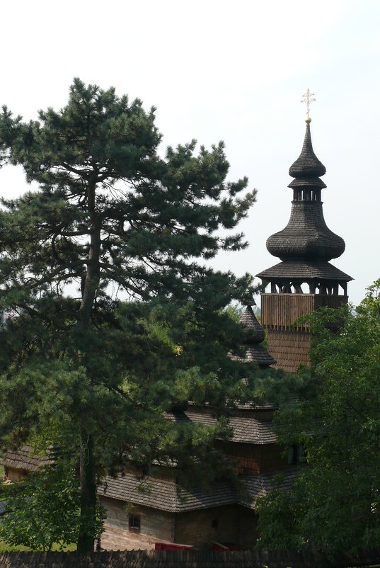 Шелестовская деревянная церковь Святого Михаила - Елена Елена