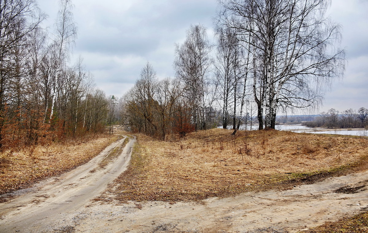 Ждем  листву. - Валера39 Василевский.