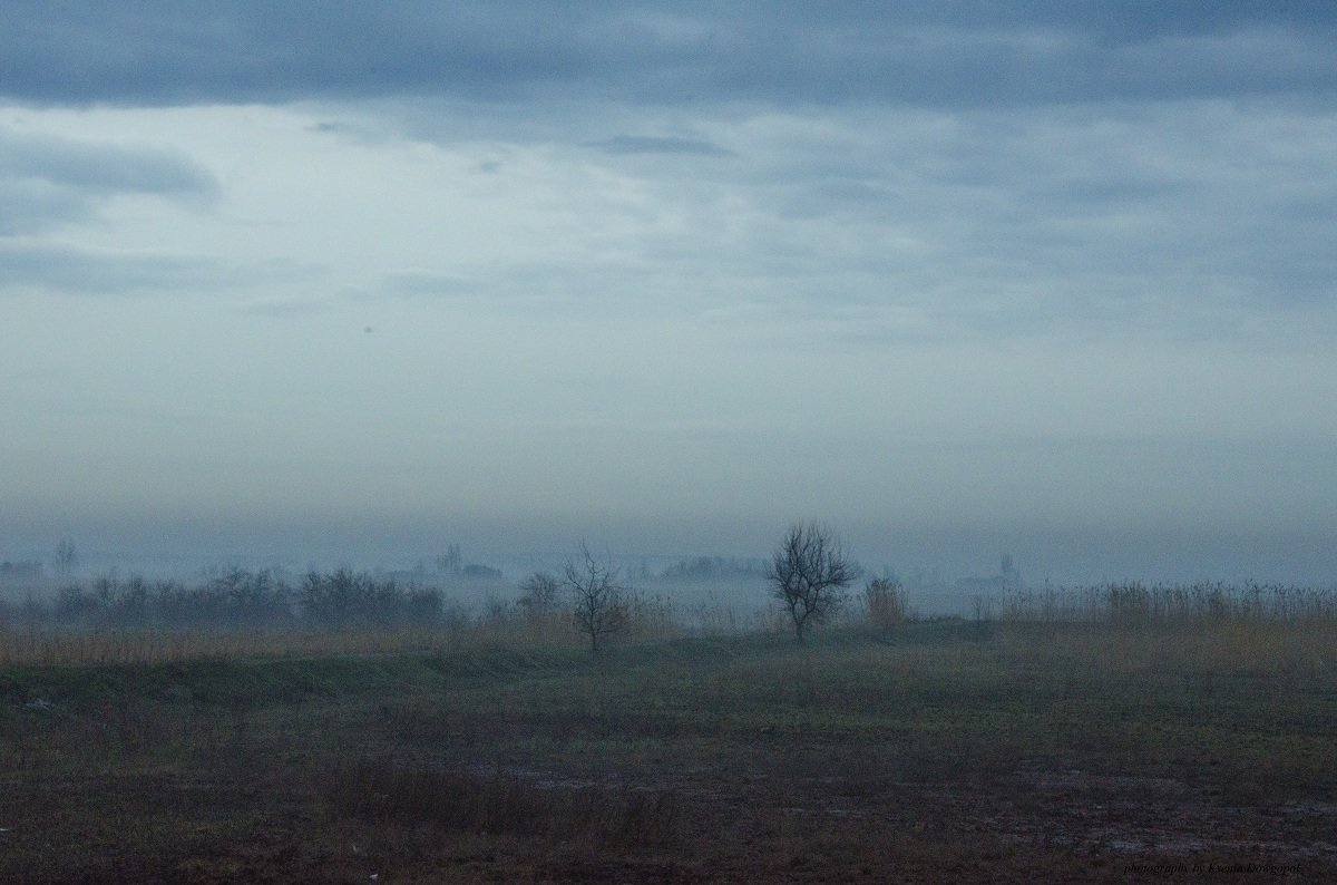 Туманное утро - Ксения Довгопол