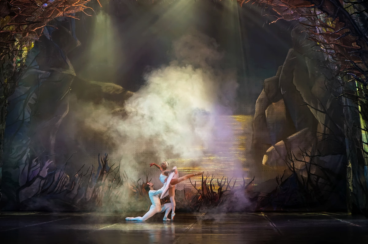 Сцена из балета "Лебединое Озеро" - Владимир Максимов