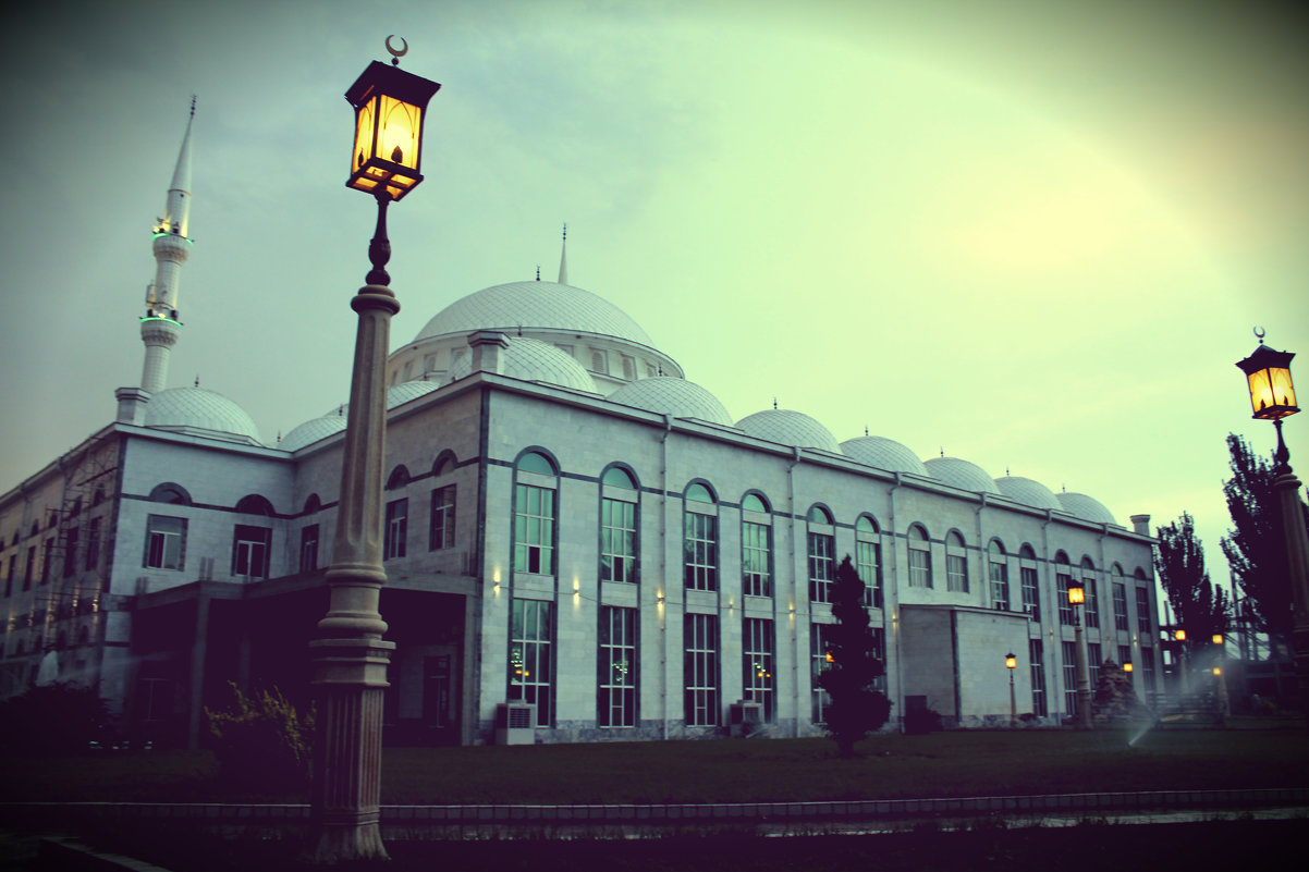 мечеть вечер - Светлана 