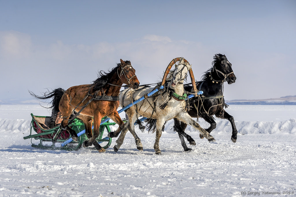 Новоселово - 2015 - Sergey Yatmasov