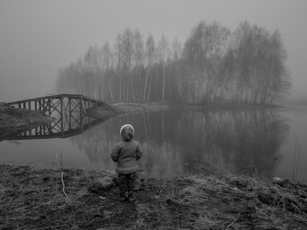 В туман - Александр Губарев