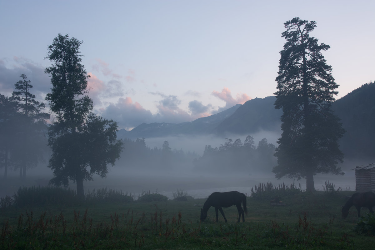 Туманное утро в горах - Артем 