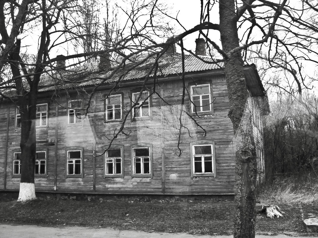 Дома в Чернобыле - Ольга Винницкая (Olenka)