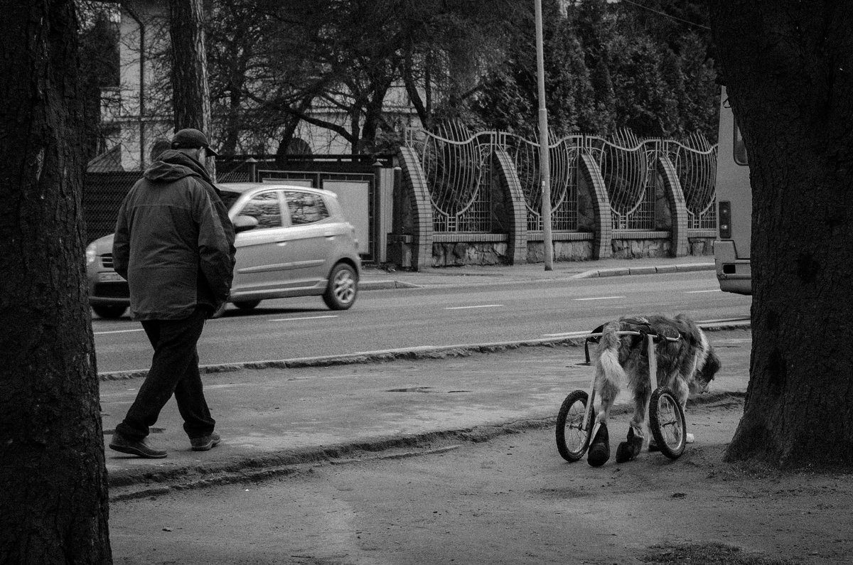 Доброта... - Елена Николаева