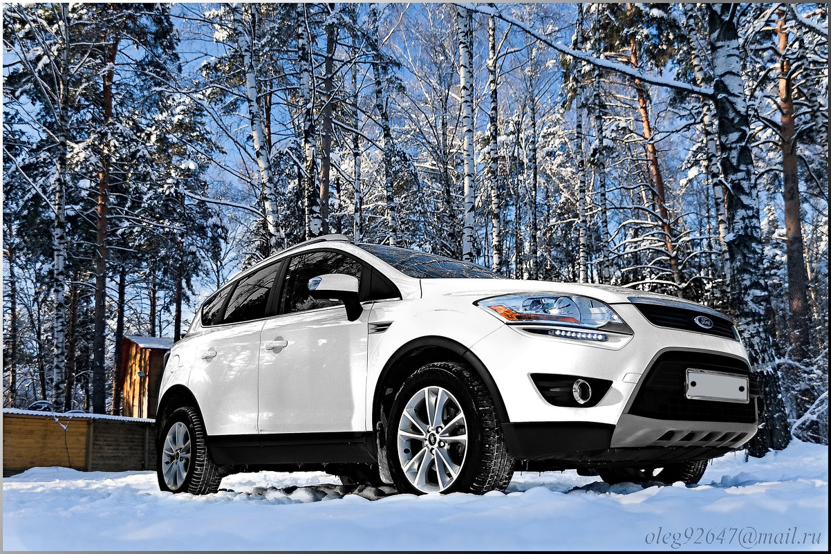 Ford Kuga - Олег Каплун